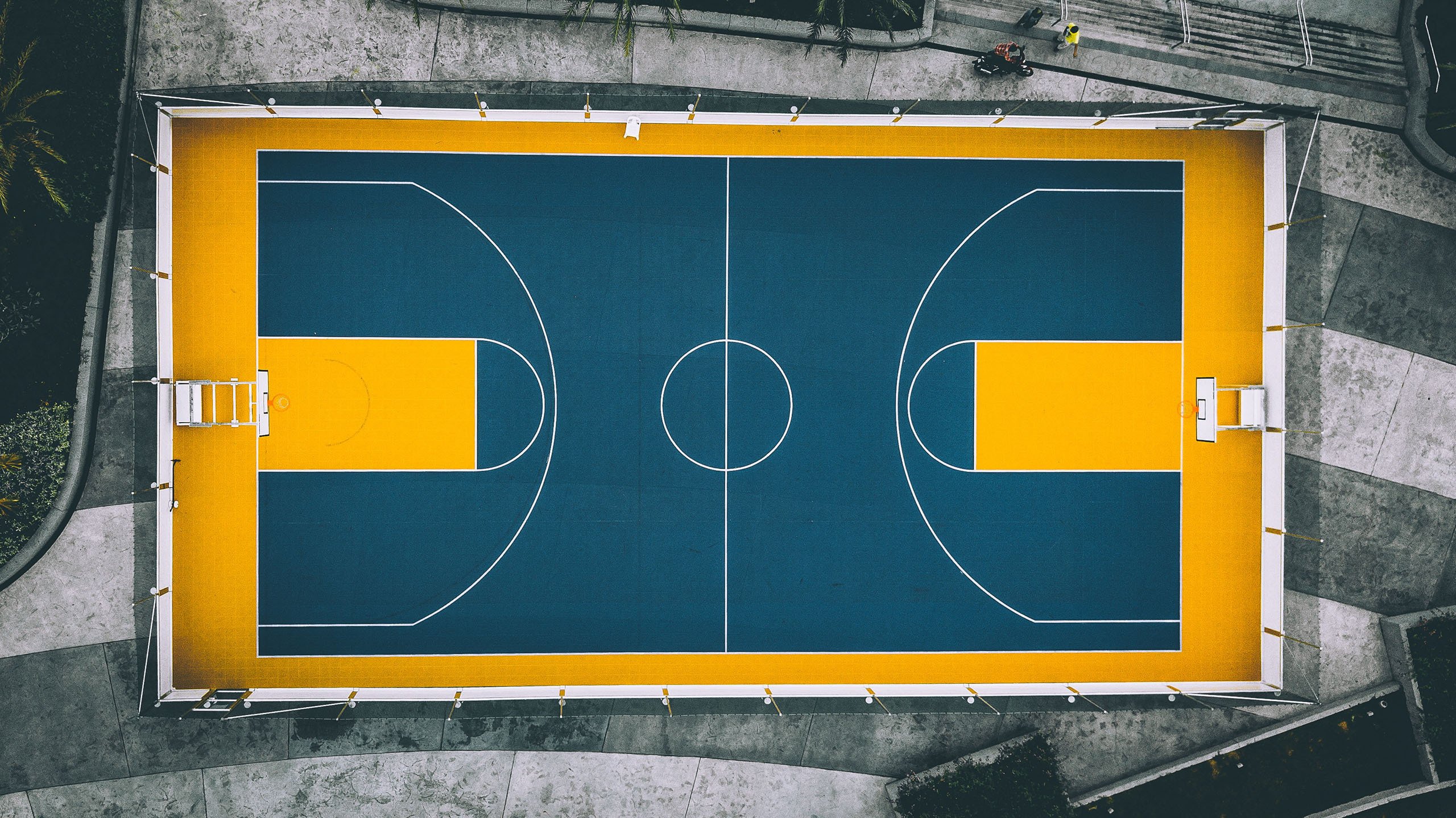 NBA最新实力榜出炉,掘金、凯尔特人领跑,nba实力分析